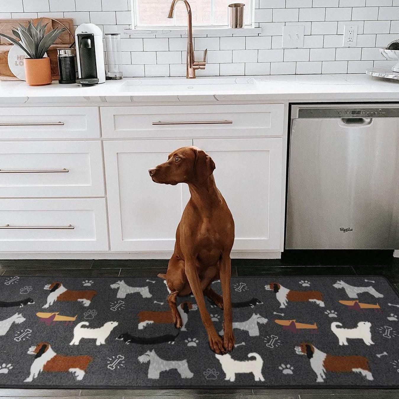 Dog Family Designer Rugs – Kitchen, Bedroom, Living Room