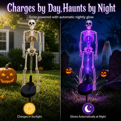Halloween Skull Solar Garden Lights – Waterproof Outdoor Pathway Lights for Yard, Lawn & Spooky Halloween Decor